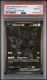 Zekrom Ex