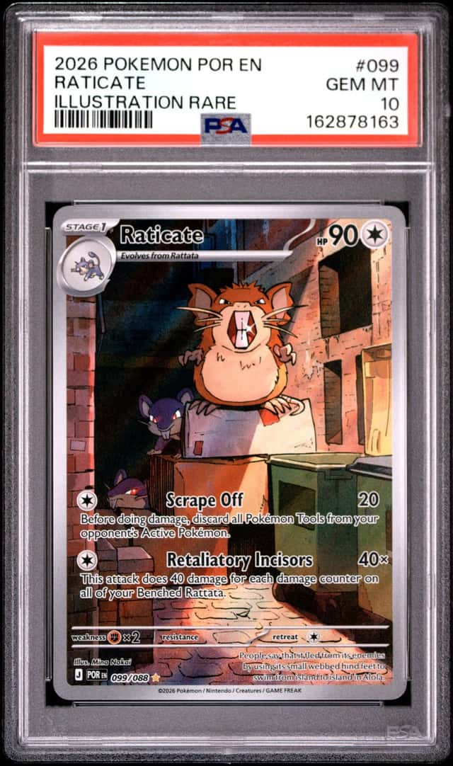 Raticate