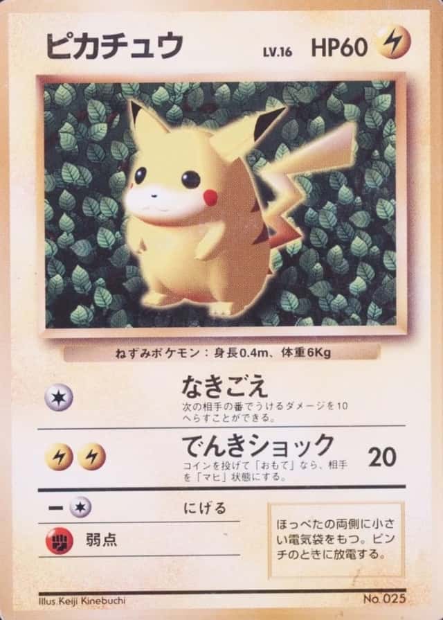 Non-Holo · Non-Glossy · Easily How Play To Understand