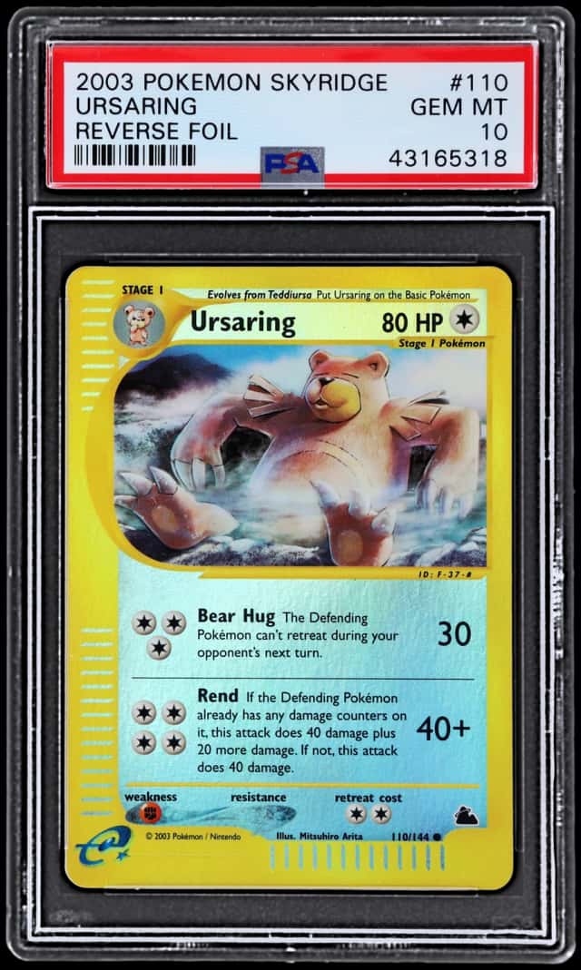 Ursaring