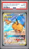Raichu & Alolan Raichu Gx