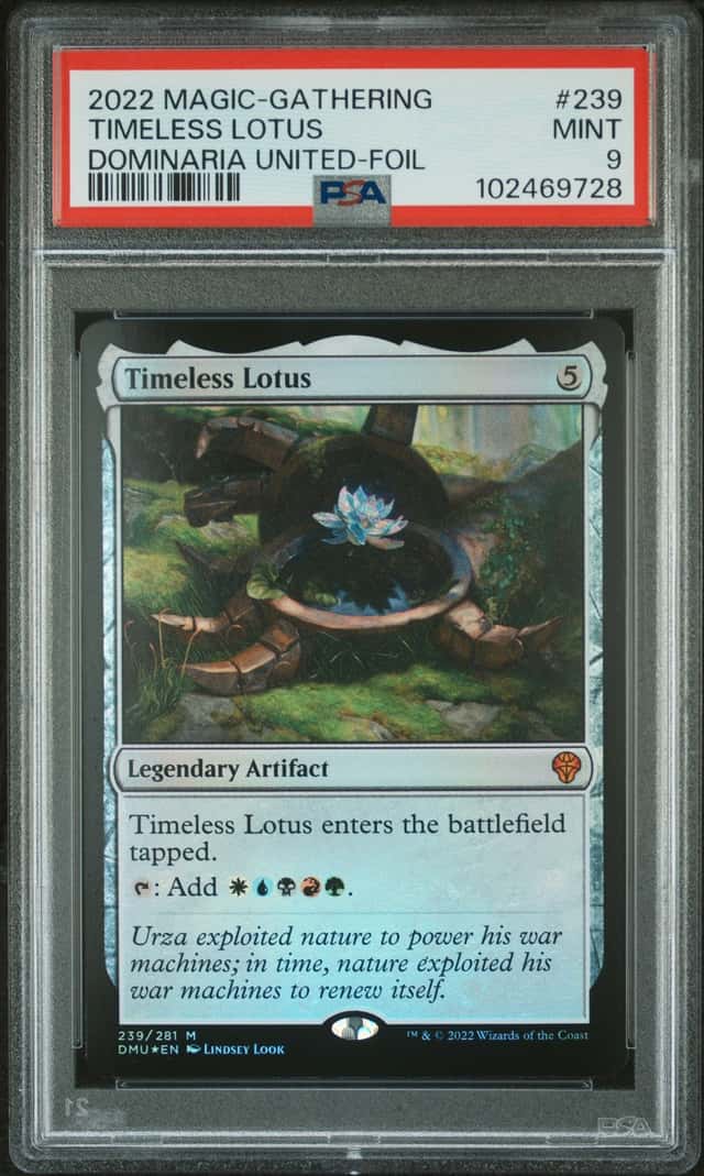 Timeless Lotus