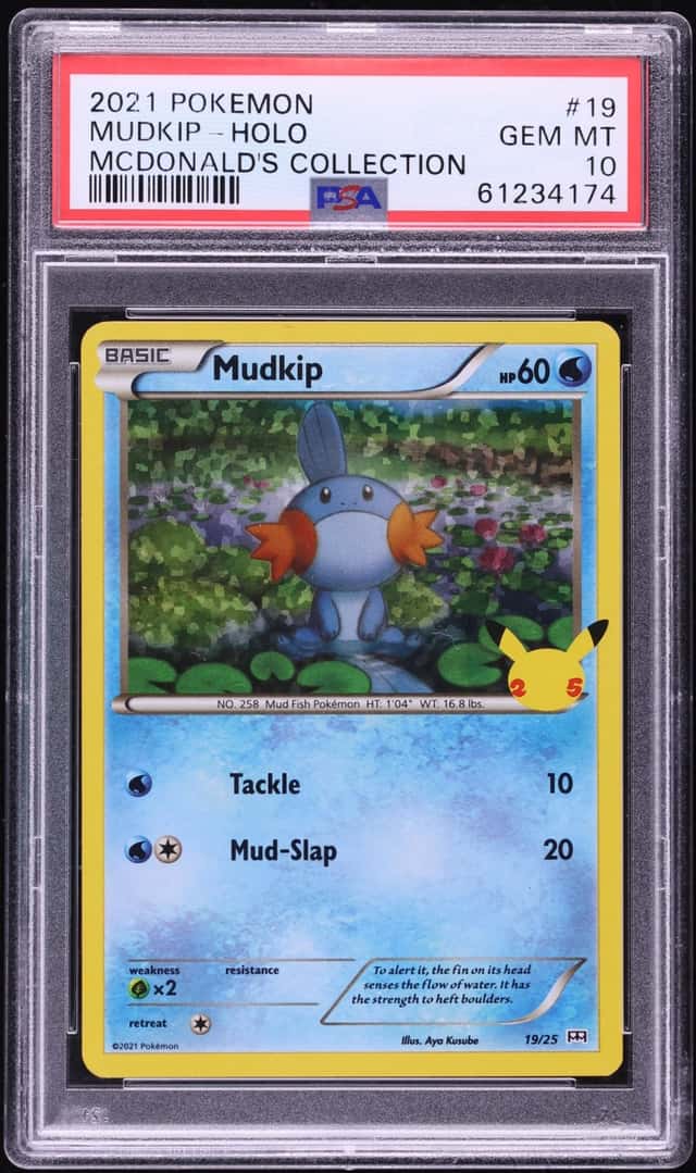 Mudkip