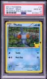 Mudkip