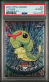 Caterpie