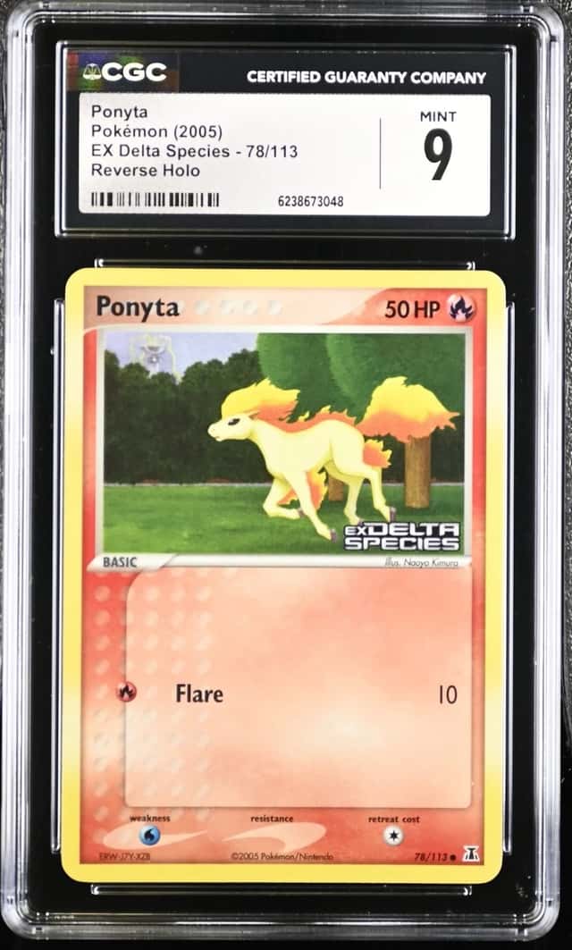 Ponyta