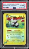 Magneton