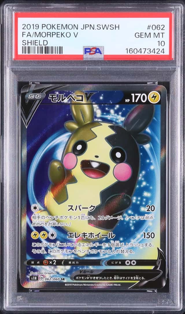 Morpeko V