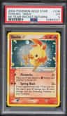 Torchic