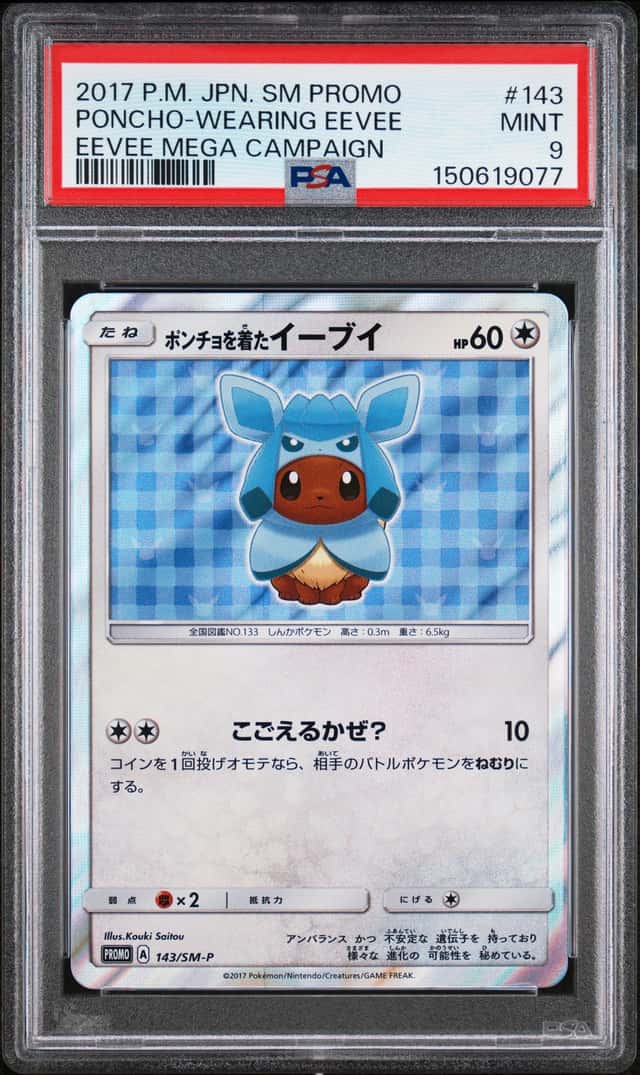 Poncho-Wearing Eevee