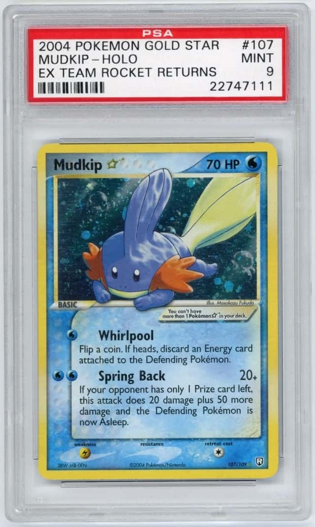 Mudkip