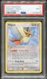Pidgeot