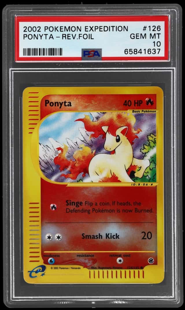 Ponyta