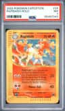 Rapidash
