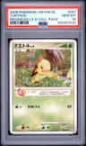 Turtwig