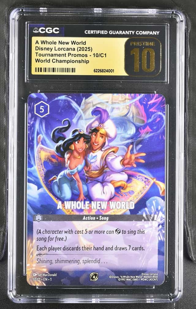 A Whole New World