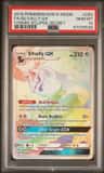 Silvally Gx