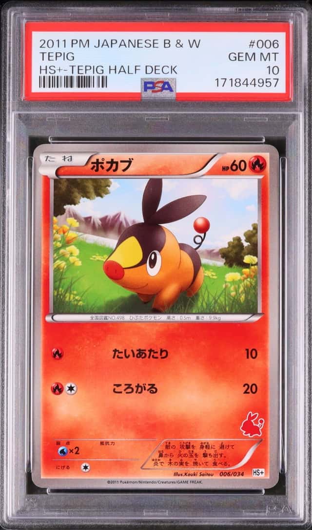 Tepig
