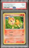 Chimchar