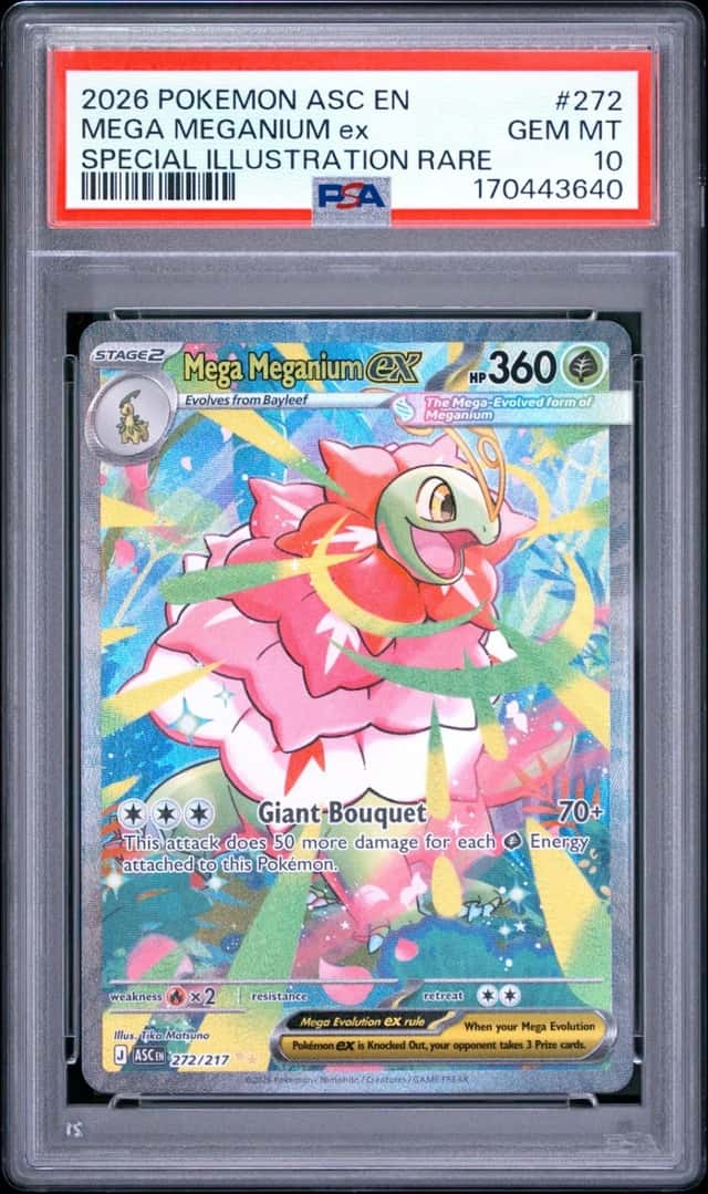 MEGA MEGANIUM ex
