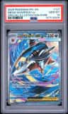 Mega Sharpedo Ex