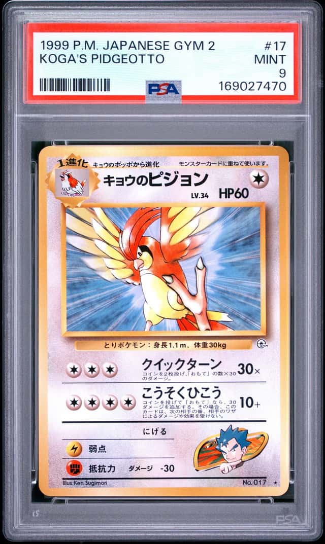 Koga's Pidgeotto
