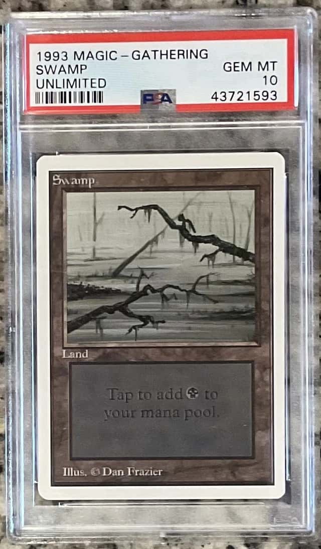 Swamp