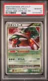 Torterra Lv X