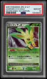 Leafeon Lv X