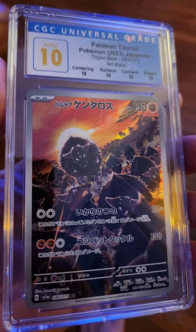 Paldean Tauros