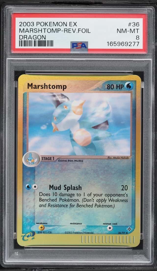 Marshtomp