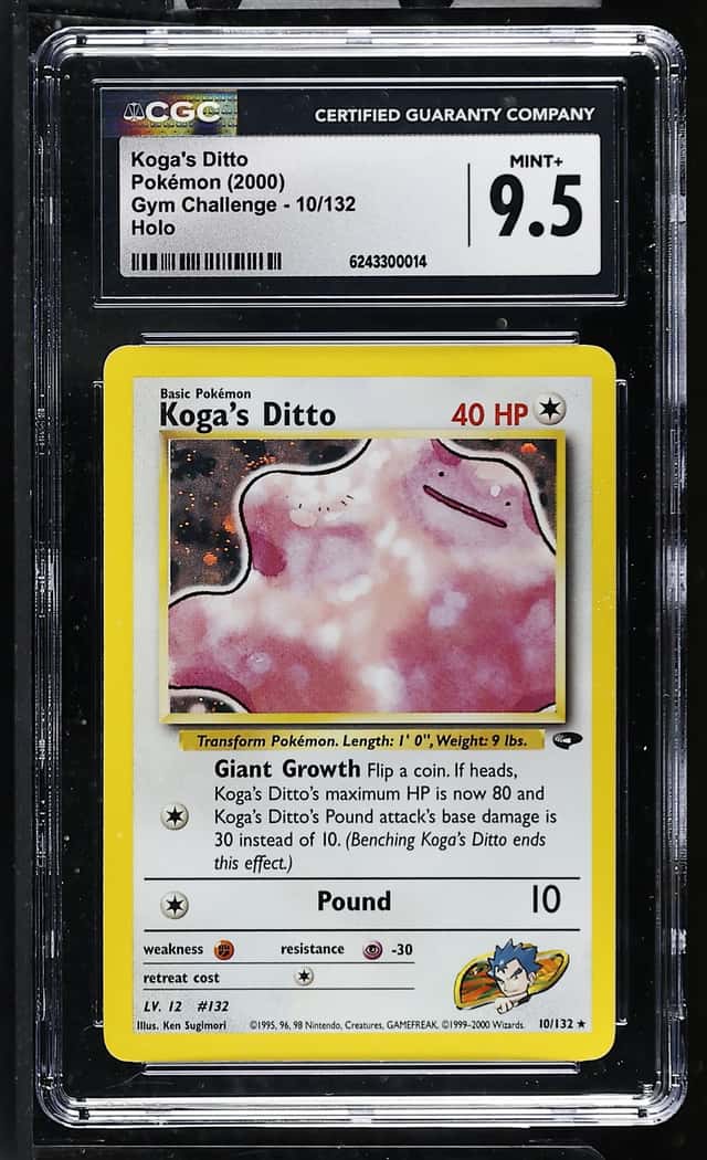 Koga's Ditto