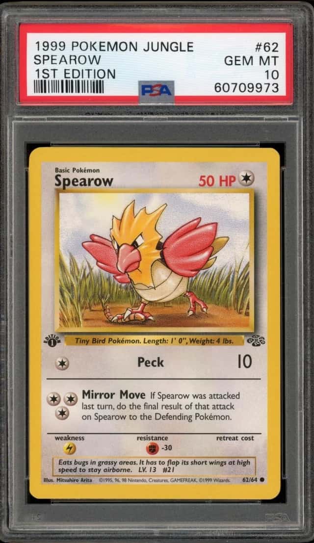 Spearow