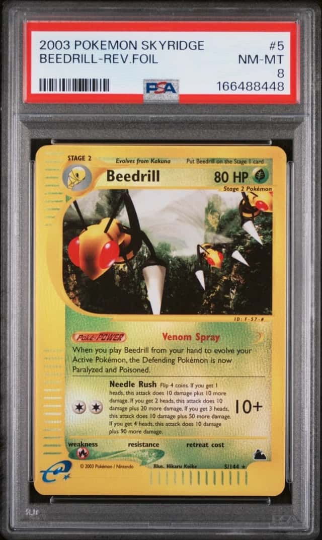 PSA 8 2003 Pokemon TCG Beedrill 5/144 Skyridge Reverse Holo
