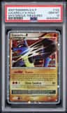 Lucario Lv X
