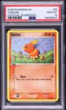 Torchic