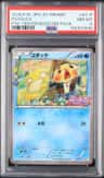 Psyduck