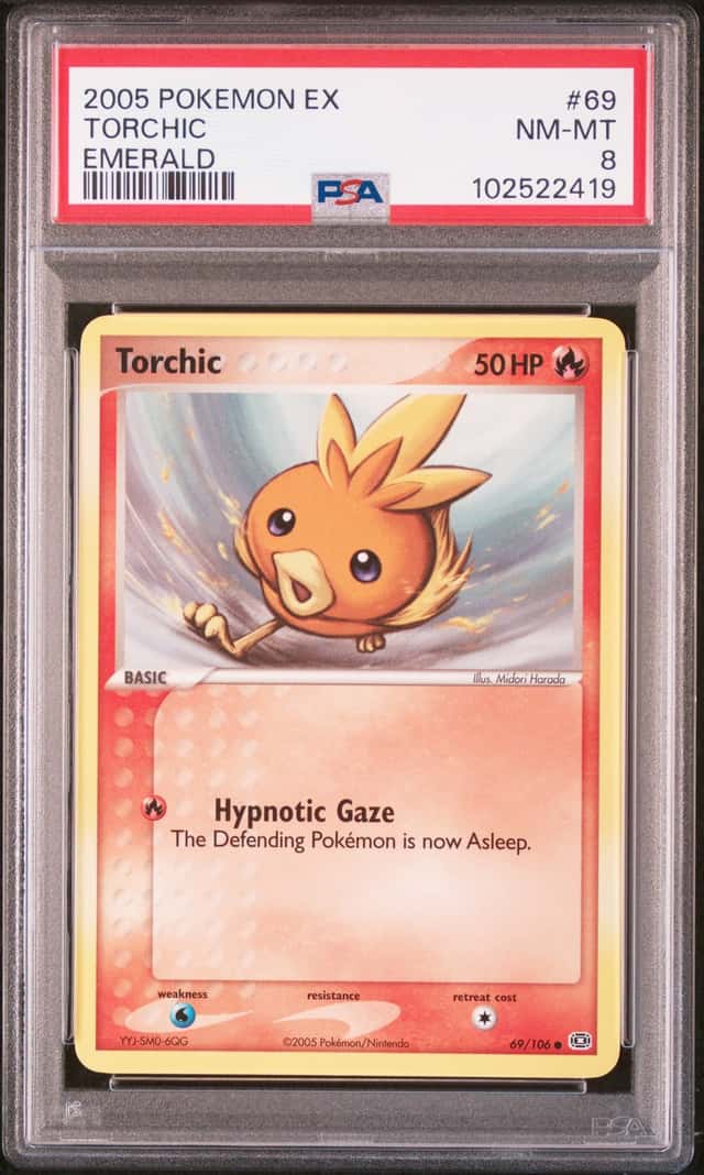 Torchic