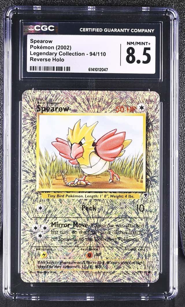 Spearow