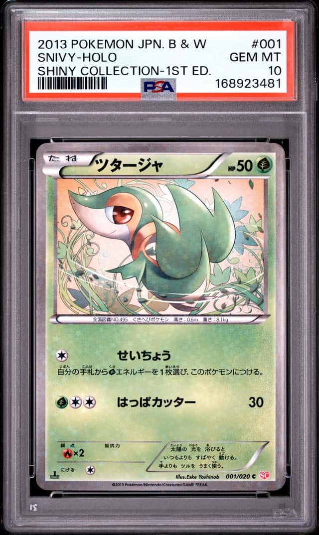 Snivy