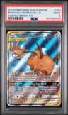 Raichu & Alolan Raichu Gx