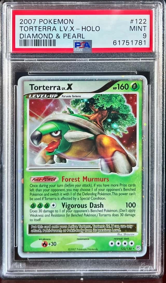 Torterra Lv X