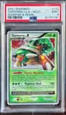 Torterra Lv X