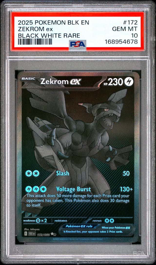 ZEKROM ex