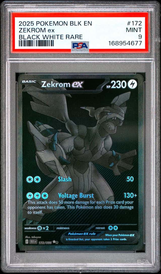 ZEKROM ex