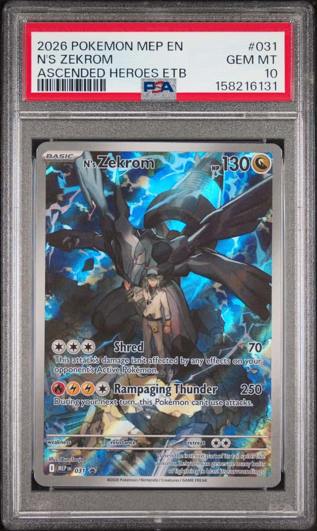 N's Zekrom