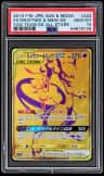 Mewtwo & Mew Gx