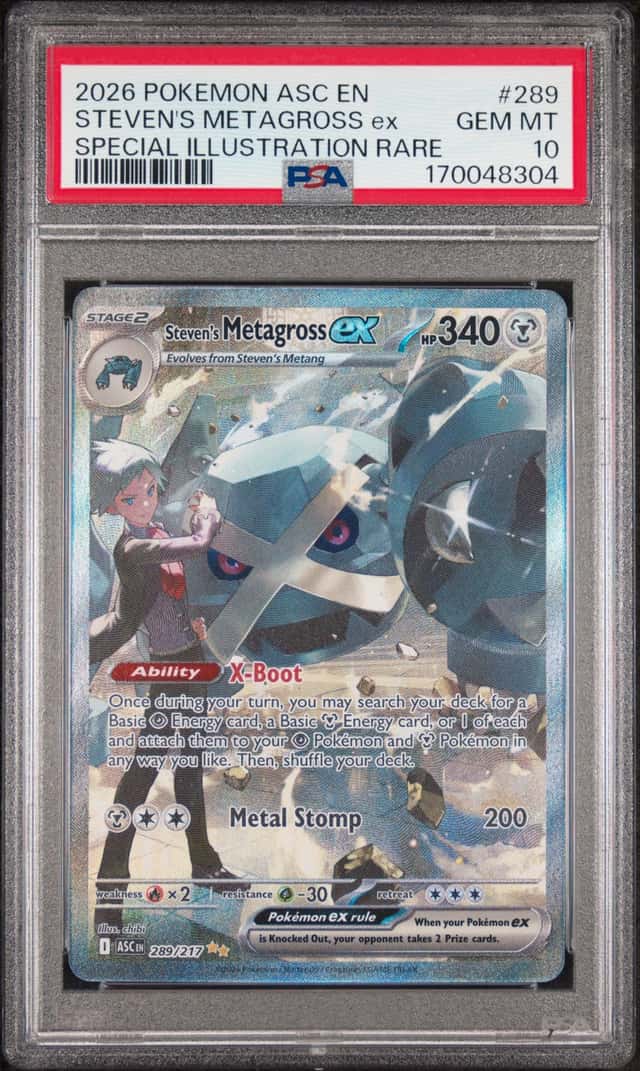 STEVEN'S METAGROSS ex
