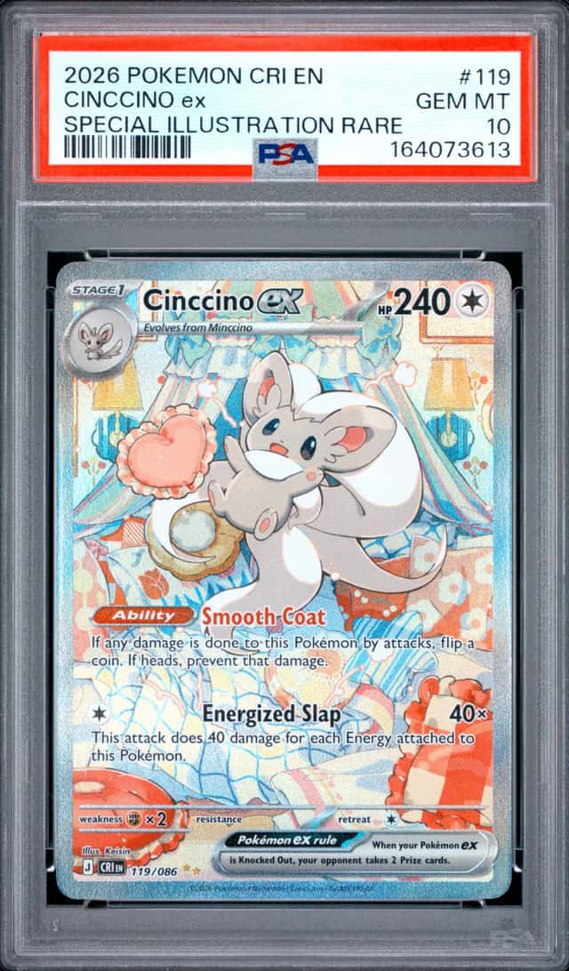 CINCCINO ex