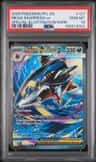 Mega Sharpedo Ex
